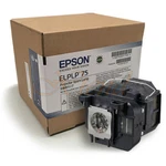 Genuine Projector Lamp Module For Epson H490A Brand. Price: $228.15.